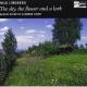 ˥륹ɥ٥1933-ˡ羧ʽ - NILS LINDBERG : THE SKY THE FLOWER AND A LARK -