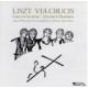 ꥹȡͤؤƻۤ - LisztVia Crucis -