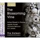 ݡɤΥꥢε𾢤 - The Blossoming Vine -