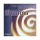 ߥʡʸˡ/饿¤ԤؤλΡꥲƥ륯ƥʡۤơޤˤ - Illumina / The Choir of Clare College -